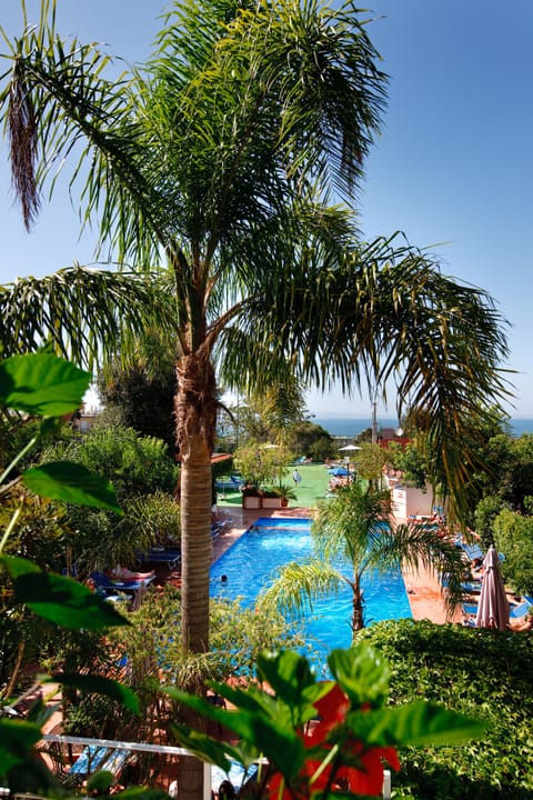 Seasonal outdoor pool, sun loungers