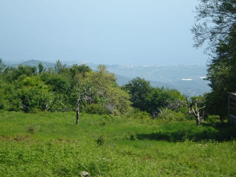 Double or Twin Room, Sea View | View from room