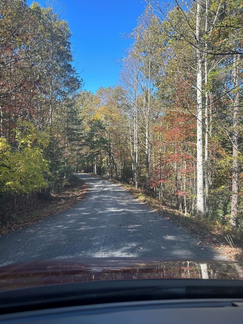 Drive to the house in the fall.
