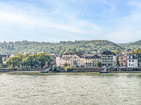 Wood, Flooring, Interior Design, Floor, Furniture, Wood Flooring, Room, Ceiling, Wood Stain, Hardwood