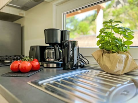 Kitchen Appliance, Tableware, Home Appliance, Small Appliance, Serveware, Kitchen, Countertop, Cup