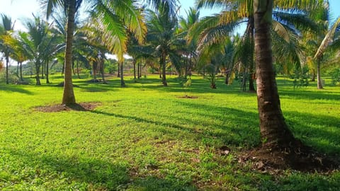 Take a tour on our farm.