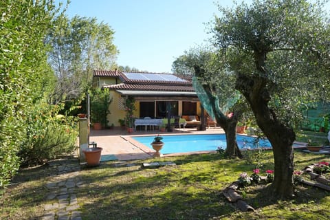 Garden, Outdoor, Pool