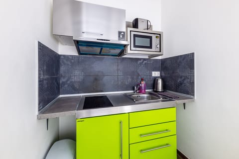 Large Studio | Private kitchen | Fridge, microwave, stovetop, electric kettle