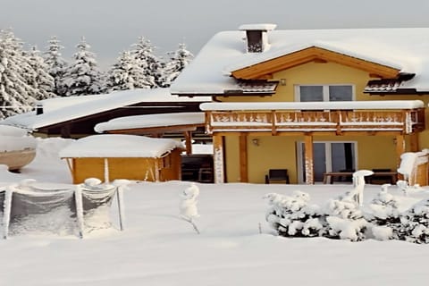 Holiday Home Exterior [winter]