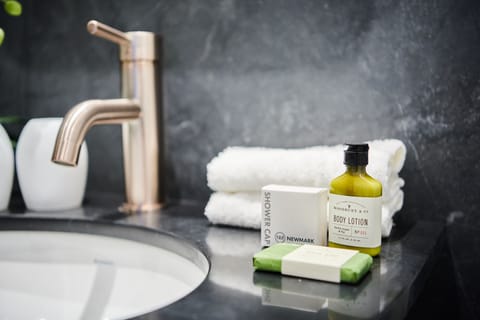 Family Suite | Bathroom | Separate tub and shower, free toiletries, hair dryer, bathrobes