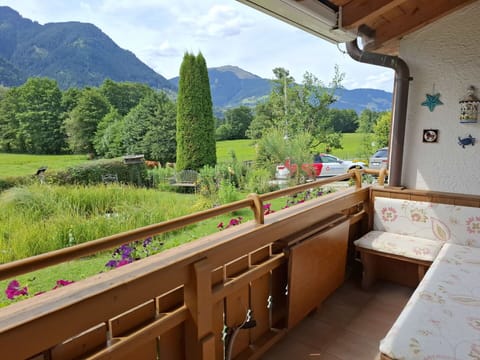 Flowerpot, Wood Stain, Houseplant, Balcony, Porch, Eco Hotel, Shade, Hardwood, Outdoor Furniture