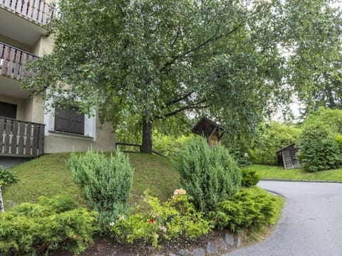 Shrub, Garden, Plant Community, Groundcover, Spring, Landscaping, Lawn, Yard, Backyard