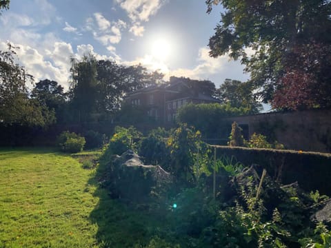 House | 8 bedrooms, desk