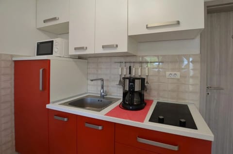 Apartment, Balcony, Sea View | Private kitchen | Coffee/tea maker, electric kettle, toaster, freezer