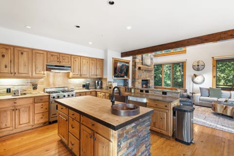 2.0-telemark-a-telluride-kitchen2