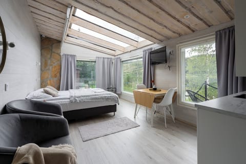 Standard Studio, 1 Queen Bed, Lake View, Lakeside | Blackout drapes, free WiFi