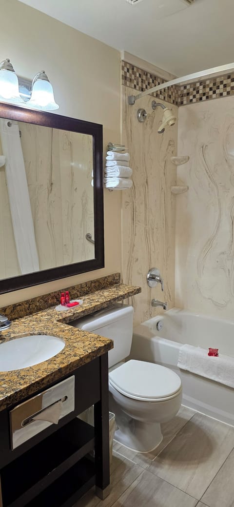 Combined shower/tub, free toiletries, hair dryer, towels