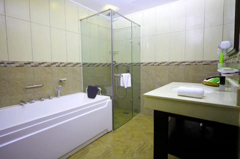 Presidential Suite | Bathroom | Shower, free toiletries, hair dryer, bathrobes