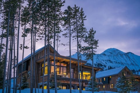 Tree, Architecture, Building, Nature, Outdoors