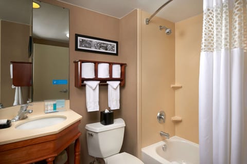 Combined shower/tub, eco-friendly toiletries, hair dryer, towels