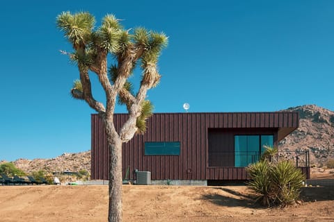 Nestled in nature, our home provides a serene escape, surrounded by unique local flora.