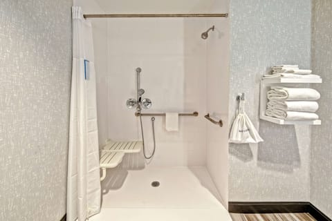 Room, 1 King Bed, Accessible, Refrigerator & Microwave | Bathroom shower