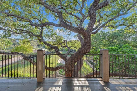 View of labyrinth from front porch