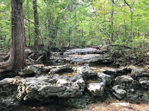 Creek right outside back yard