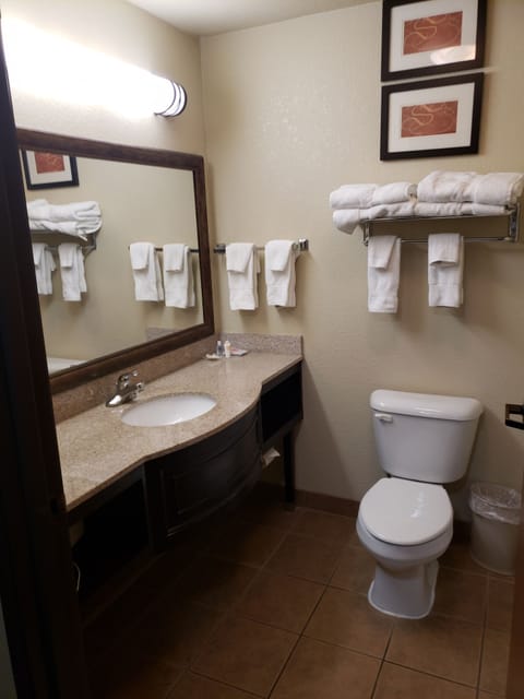 Combined shower/tub, free toiletries, hair dryer, towels