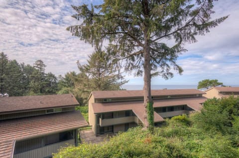 Surrounded by lush greenery, this picturesque view from the balcony showcases the tranquil setting of The Inn at Otter Crest, inviting guests to enjoy the beauty of the natural landscape.