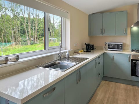 Kitchen | Alderneuk Lodge - Alderneuk Lodges, Dumfries