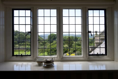 Executive Room, 1 Double Bed | View from room