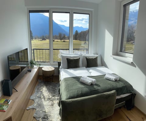 Apartment | 1 bedroom, Internet