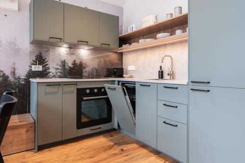 Apartment | 1 bedroom, Internet