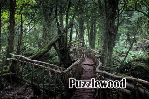 Puzzlewood