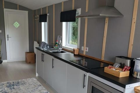 Fridge, microwave, stovetop, electric kettle