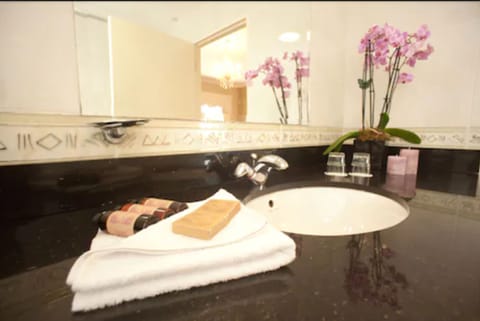 Combined shower/tub, free toiletries, hair dryer, towels