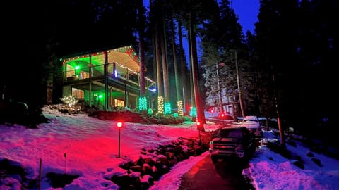 Christmas at the cabin 