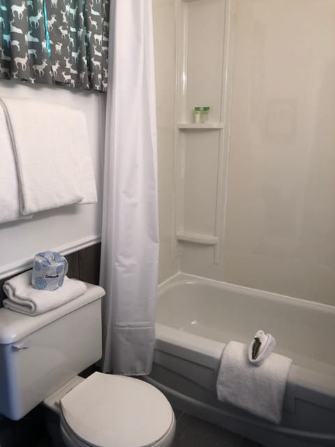 Combined shower/tub, free toiletries, hair dryer, towels