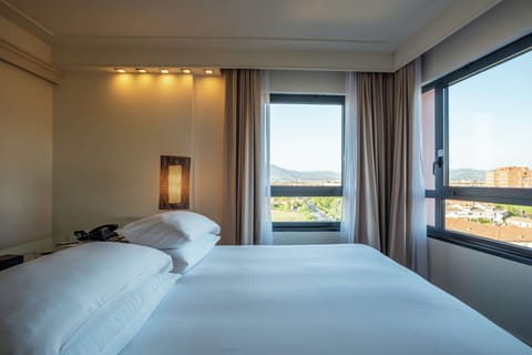 Deluxe Room, 1 King Bed, City View | View from room