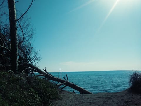 Private beach nearby, black sand, sun loungers, beach umbrellas