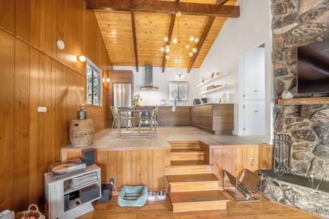 Record player and pet friendly space