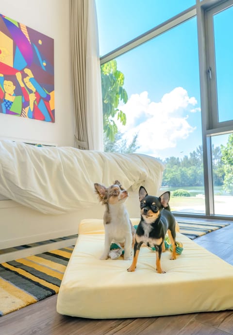 Pet-friendly amenities