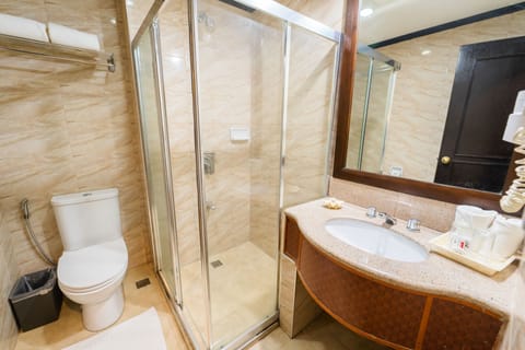 Deluxe Room | Bathroom | Shower, free toiletries, hair dryer, towels