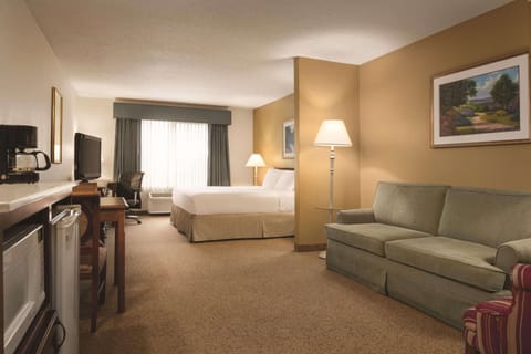 Studio Suite, 1 King Bed with Sofa bed, Non Smoking | Hypo-allergenic bedding, down comforters, pillowtop beds, desk