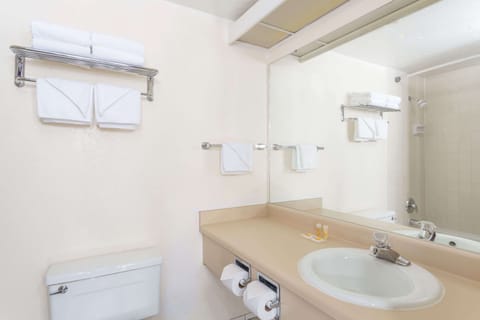 Combined shower/tub, free toiletries, hair dryer, towels