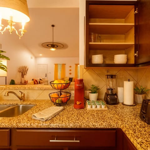 Modern Kitchen with Open Living Room