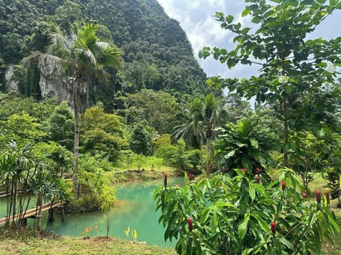 Villa, 2 Bedrooms, Accessible, Smoking | Garden