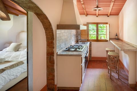 Apartment, 2 Bedrooms (Dante) | Private kitchen | Full-size fridge, stovetop, electric kettle, toaster