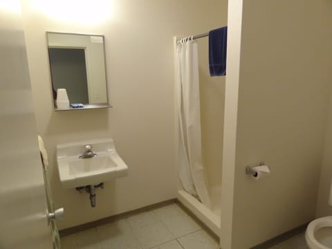 Room, 1 King Bed | Bathroom | Shower, towels