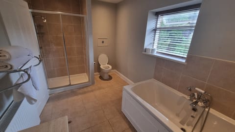 Superior Suite, Non Smoking, Sauna | Bathroom | Free toiletries, hair dryer, towels, soap