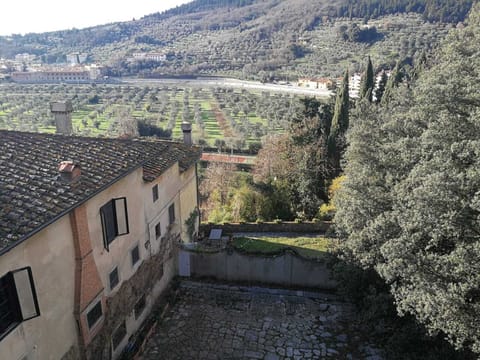 Land view from property