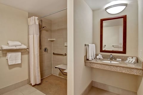 Room, 1 King Bed, Accessible | Bathroom shower