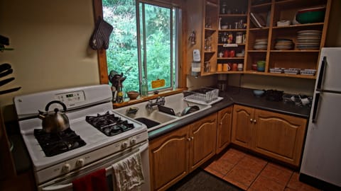 Full-size fridge, microwave, oven, toaster